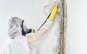 Best Asbestos and Lead Testing During Mold Inspection  in Lauderdale By The Sea, FL